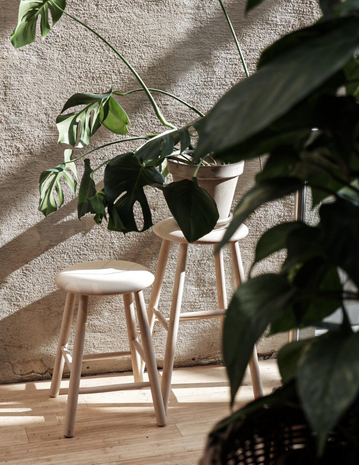 Pall Obehandlad Bok (47cm)