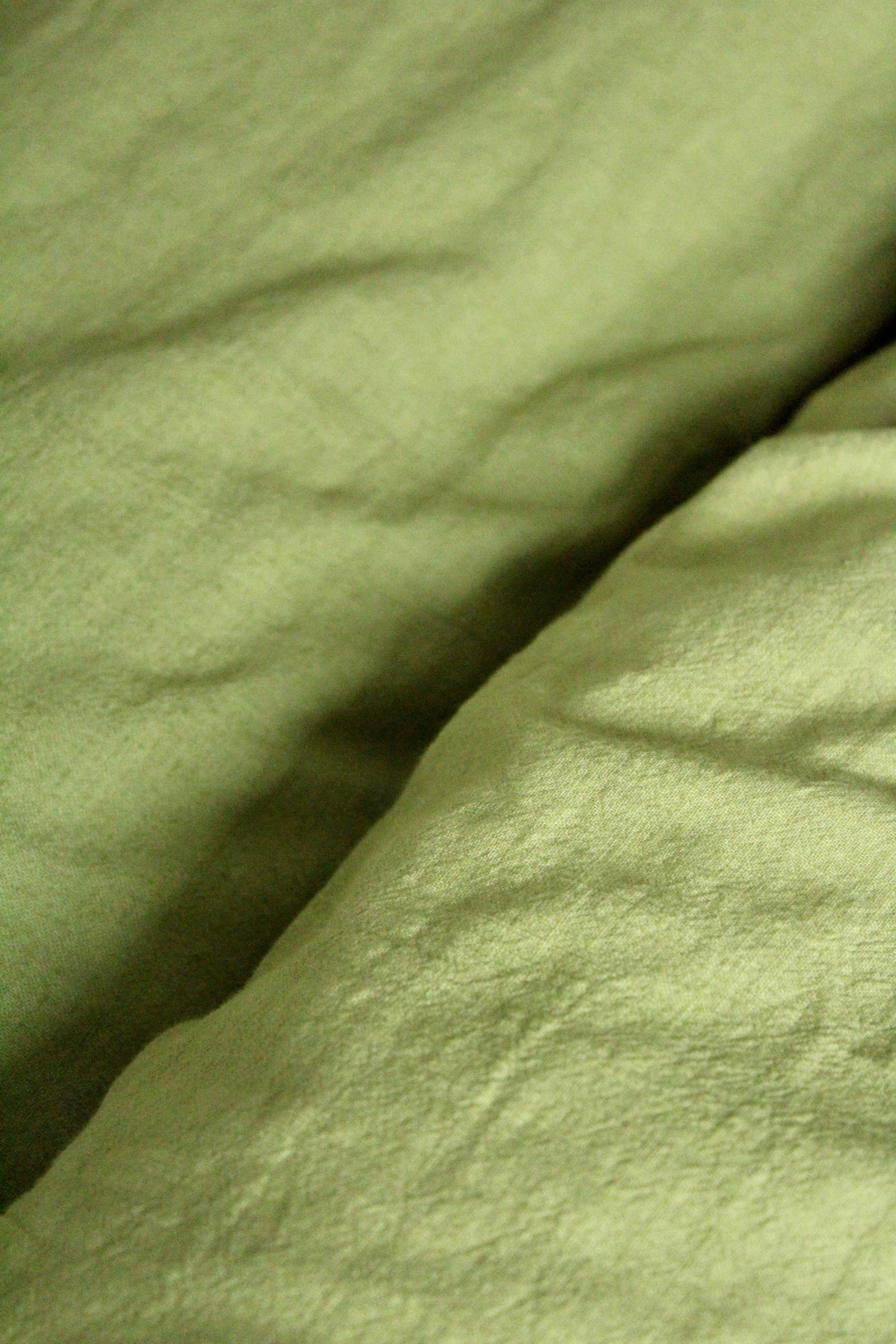 Närbild av ljusgrönt tyg och dess struktur – Gemini Floral Green