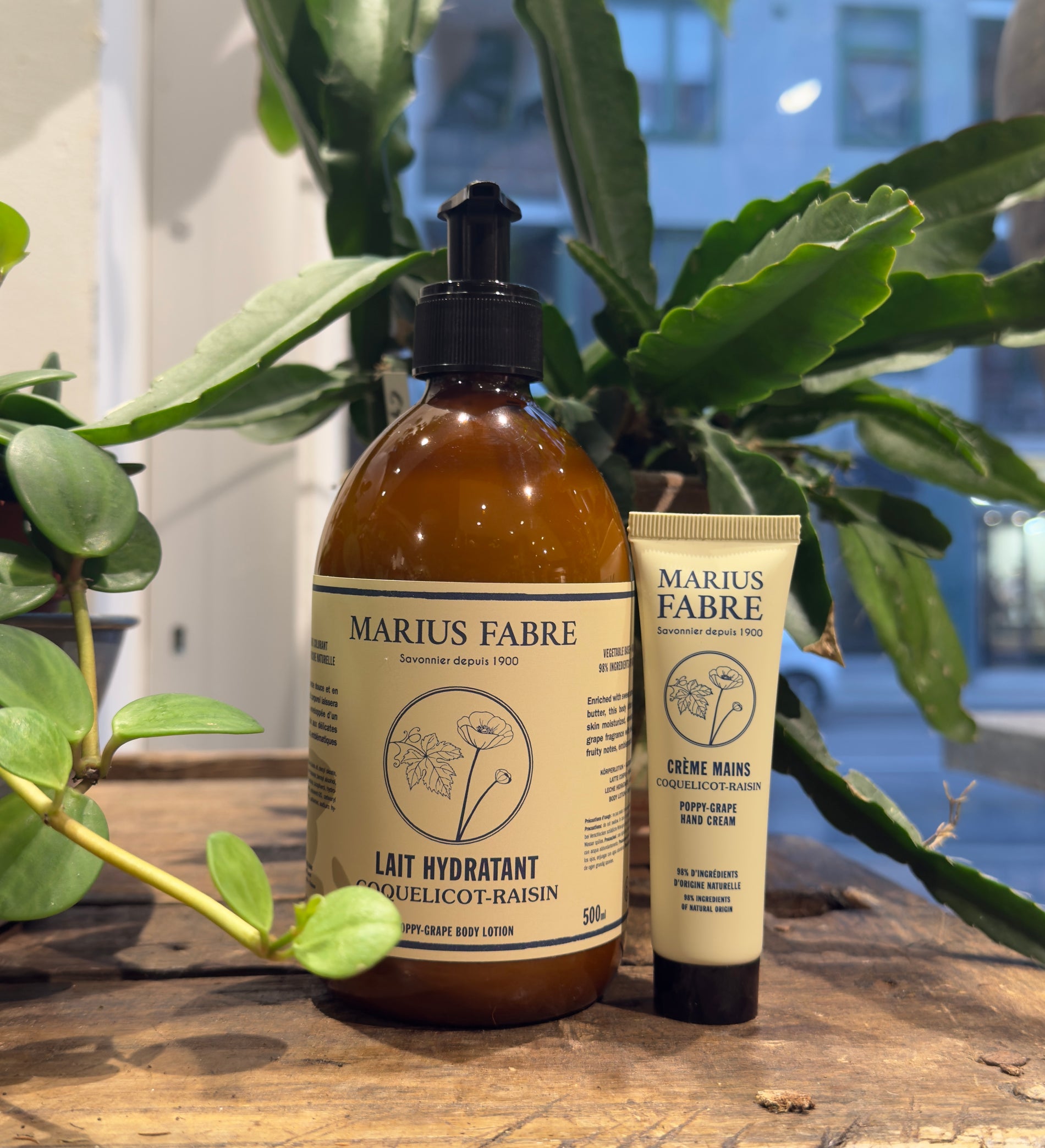 Body Lotion - Poppy grape 500 ml