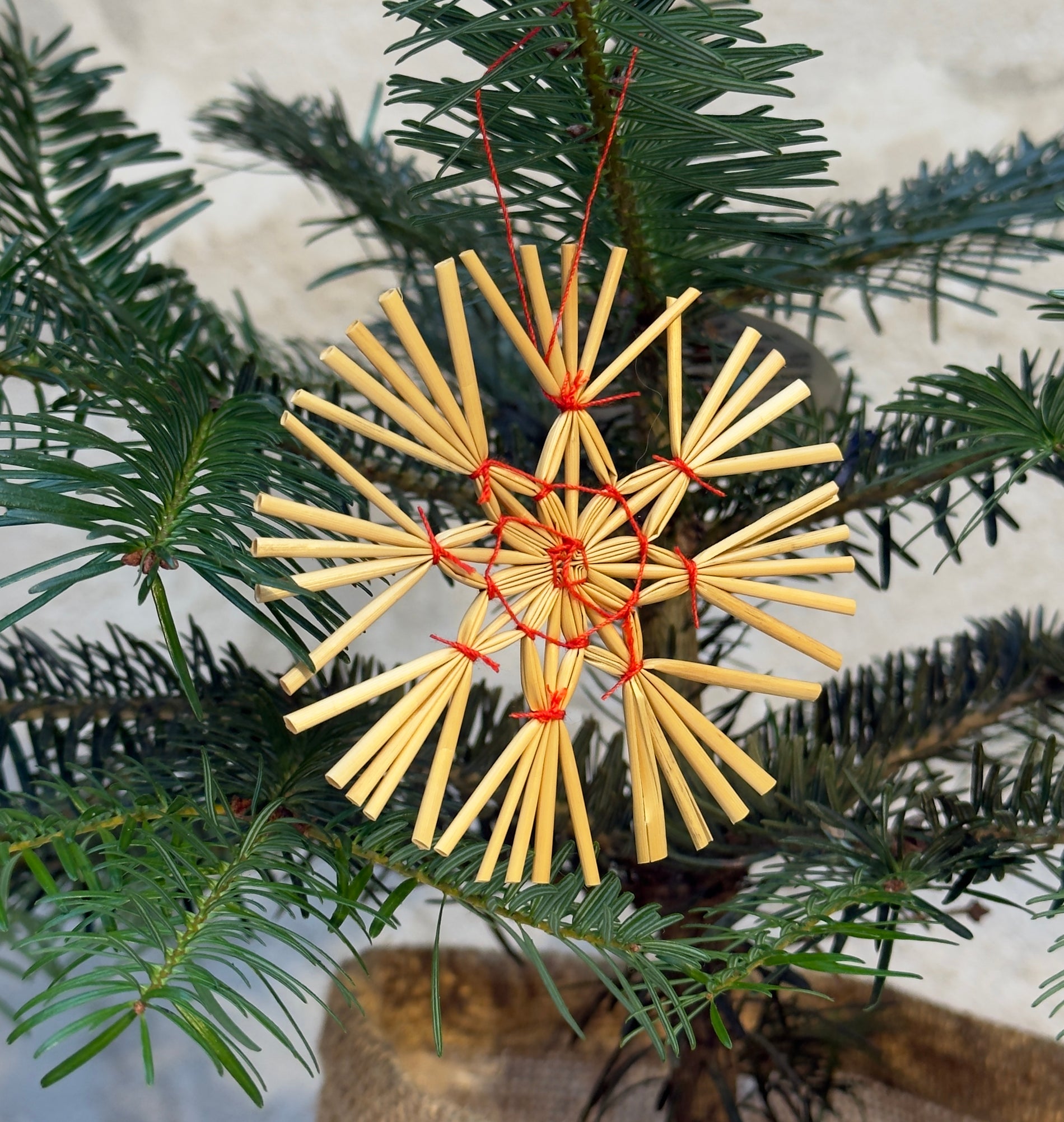 Straw Star 11cm