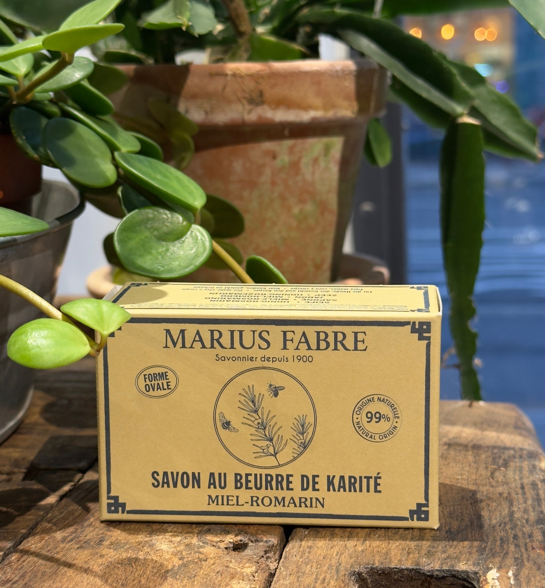 Oval tvål - Miel Romarin