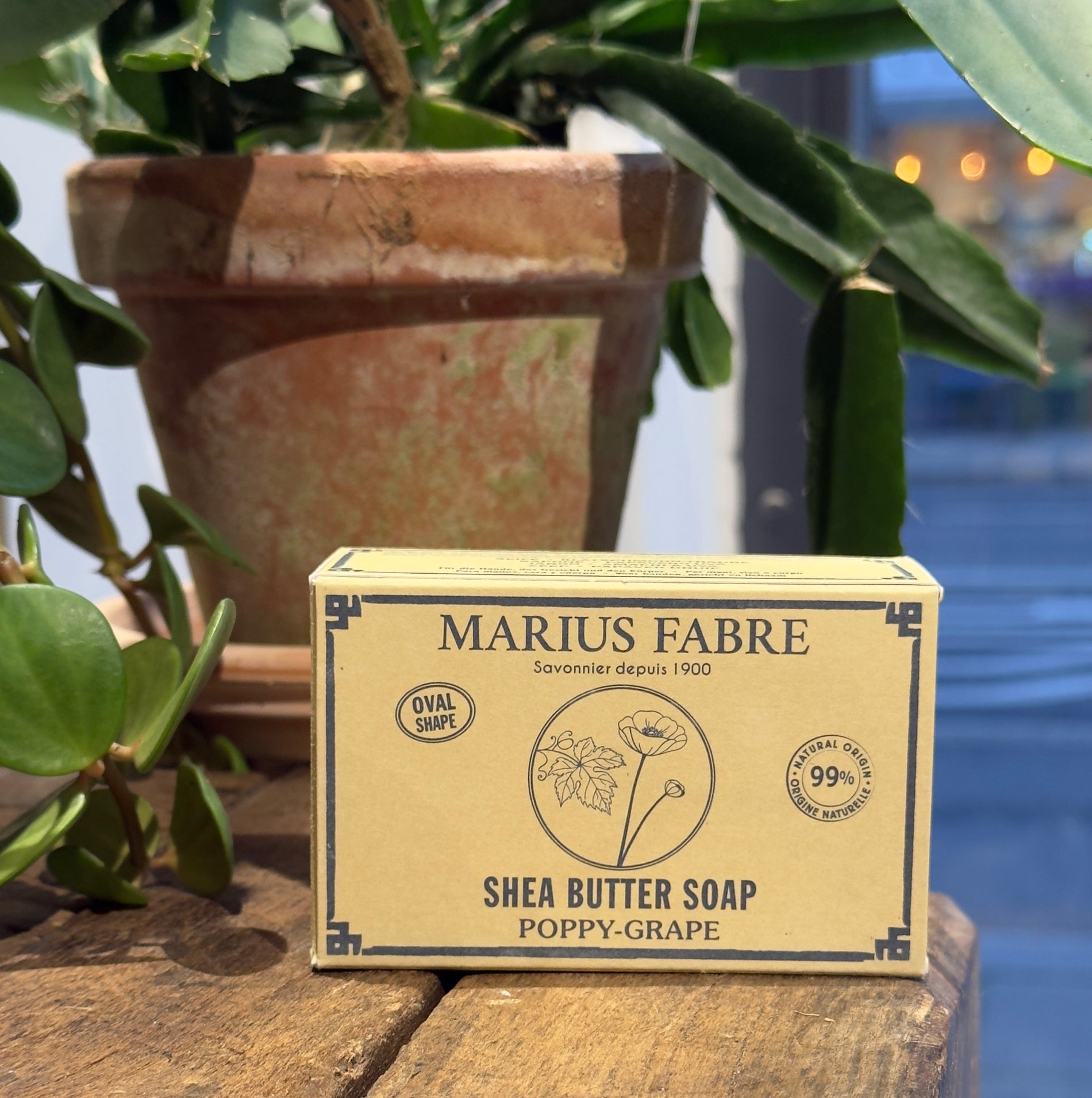 Oval tvål - Poppy grape