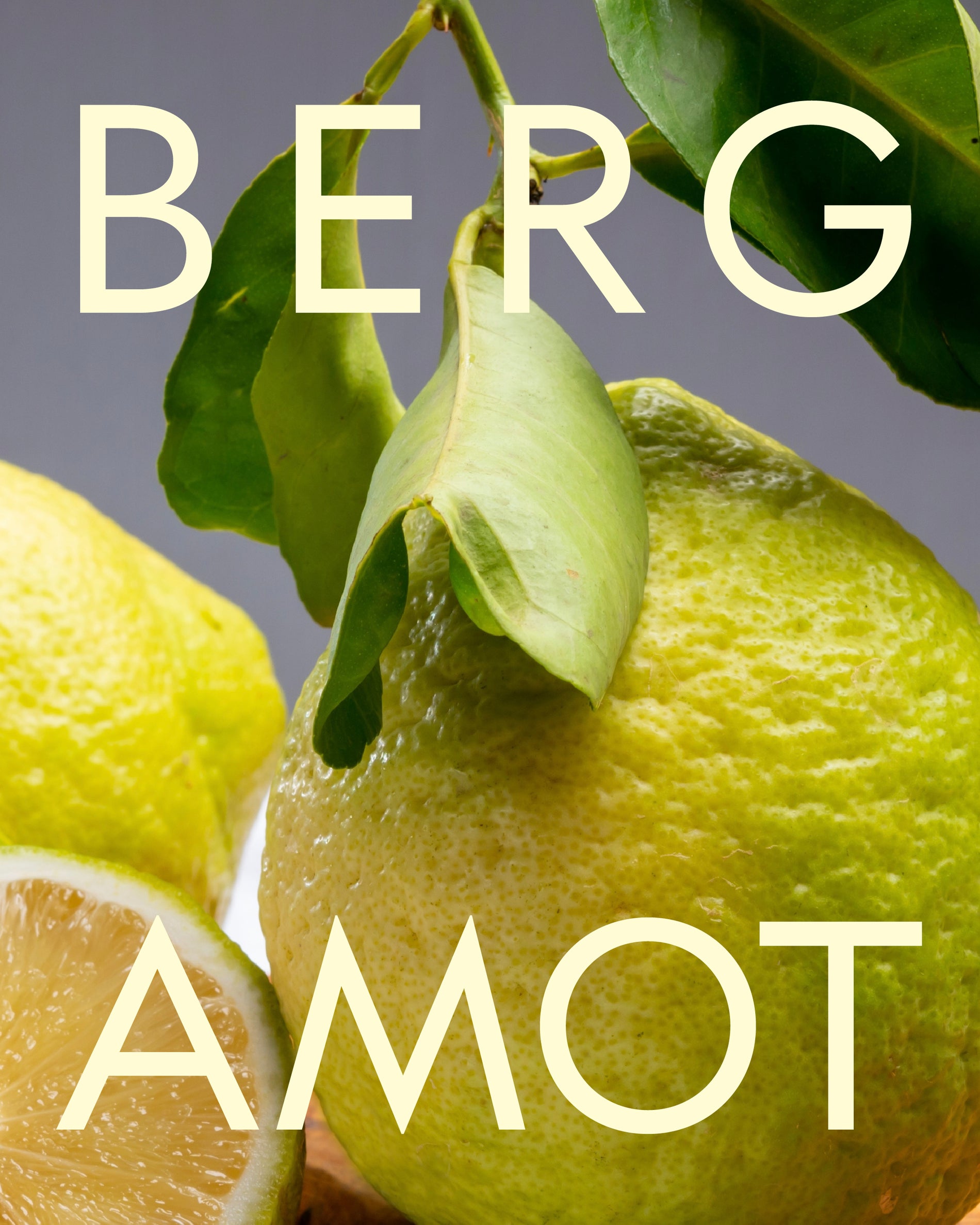 Duschtvål - 270ml bergamott