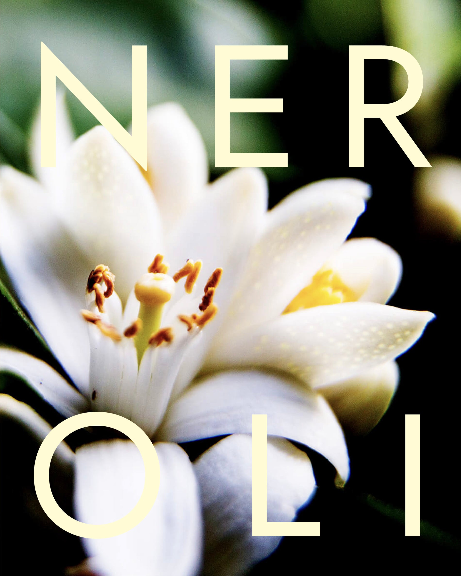Duschtvål - 270ml neroli
