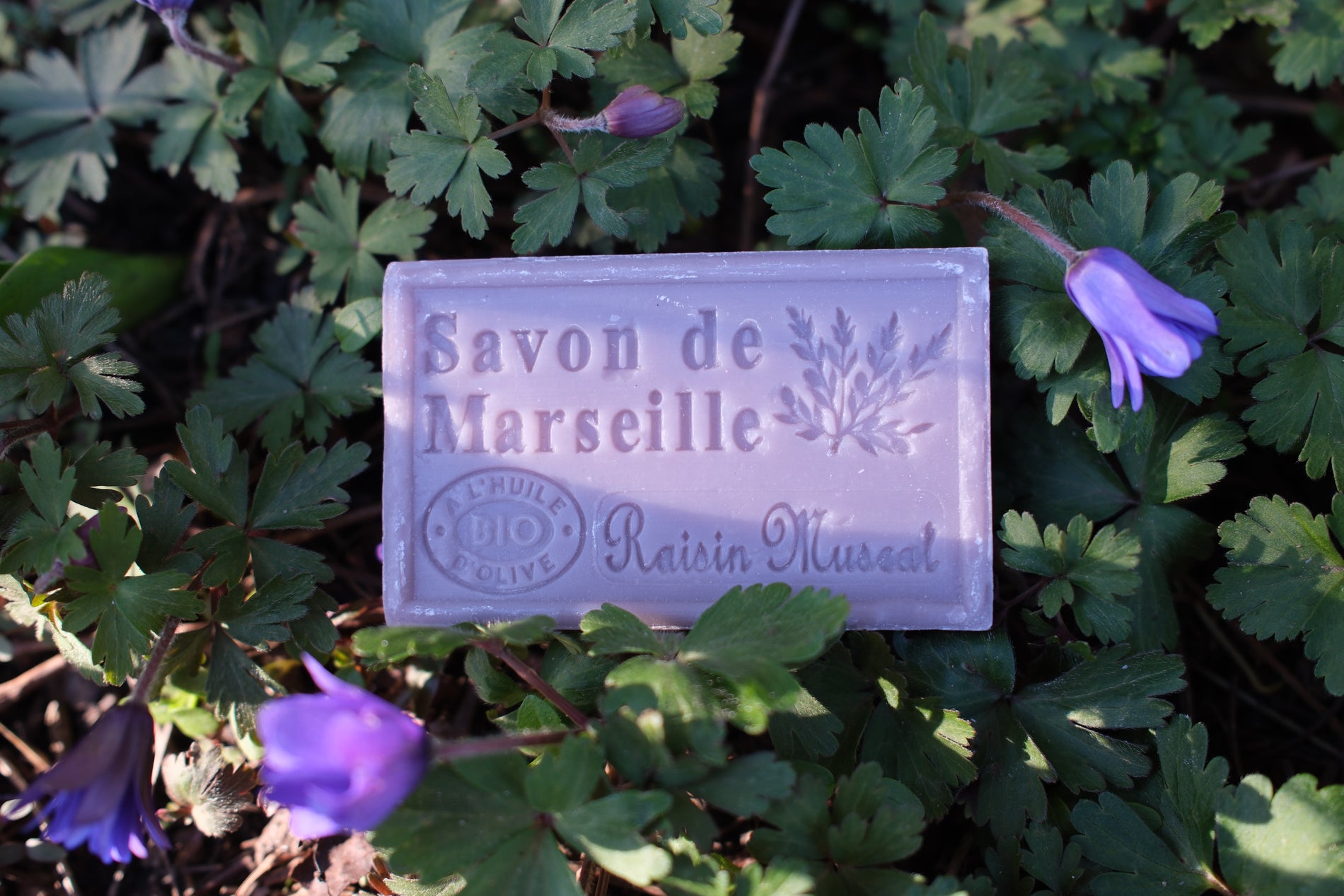 Marseille Tvål Viol