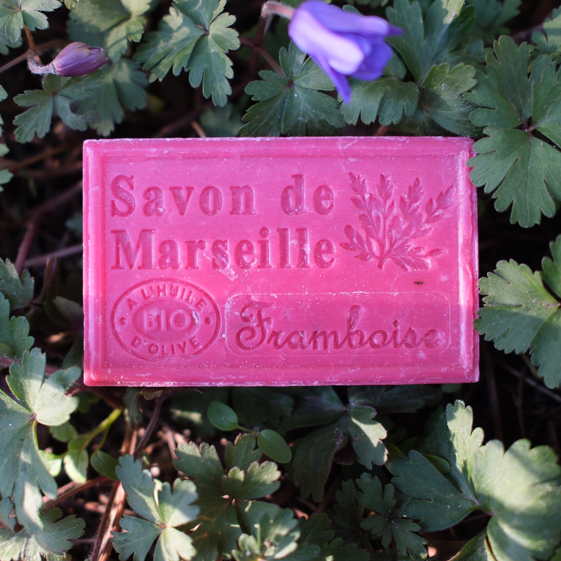 Marseille Tvål Hallon