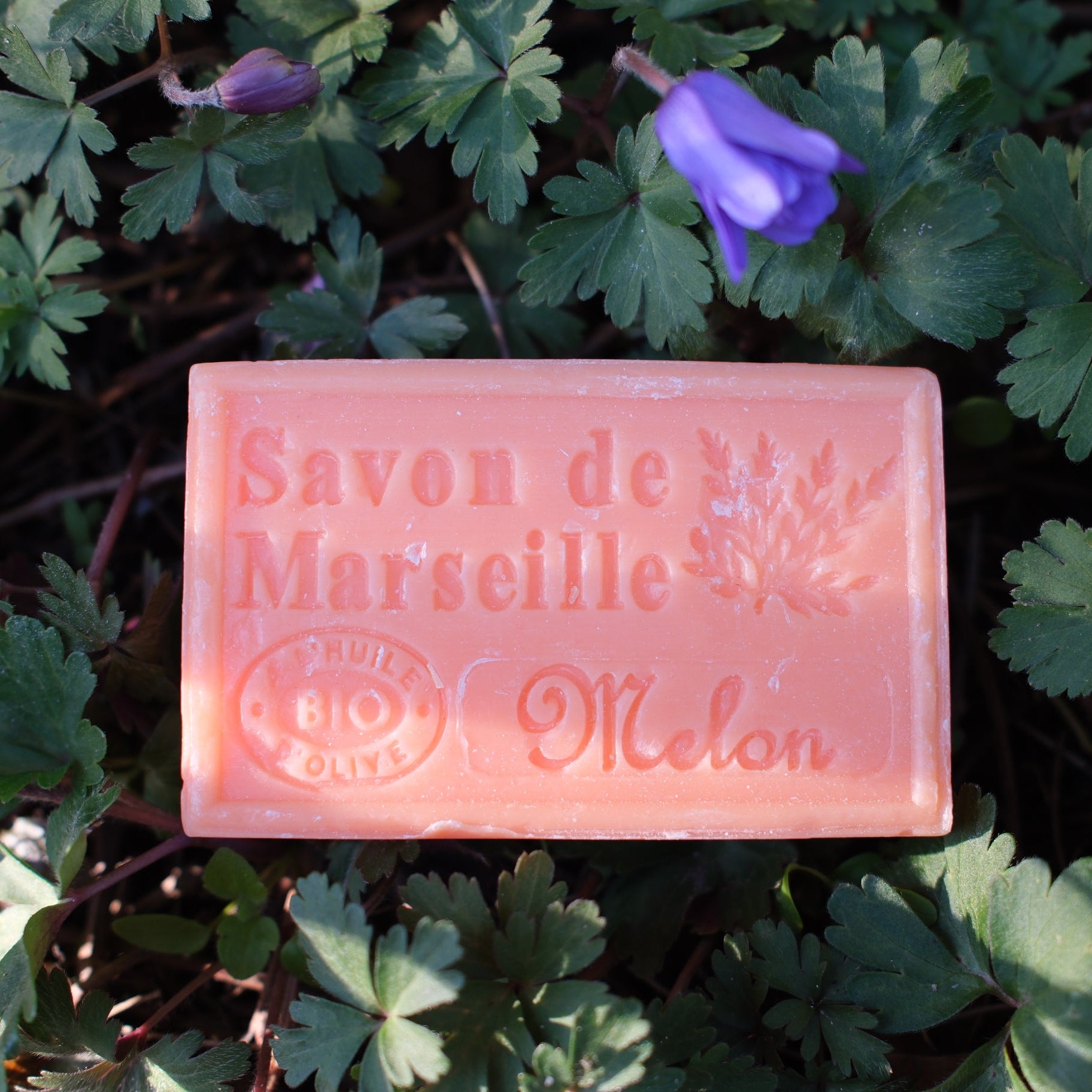 Marseille Tvål Melon