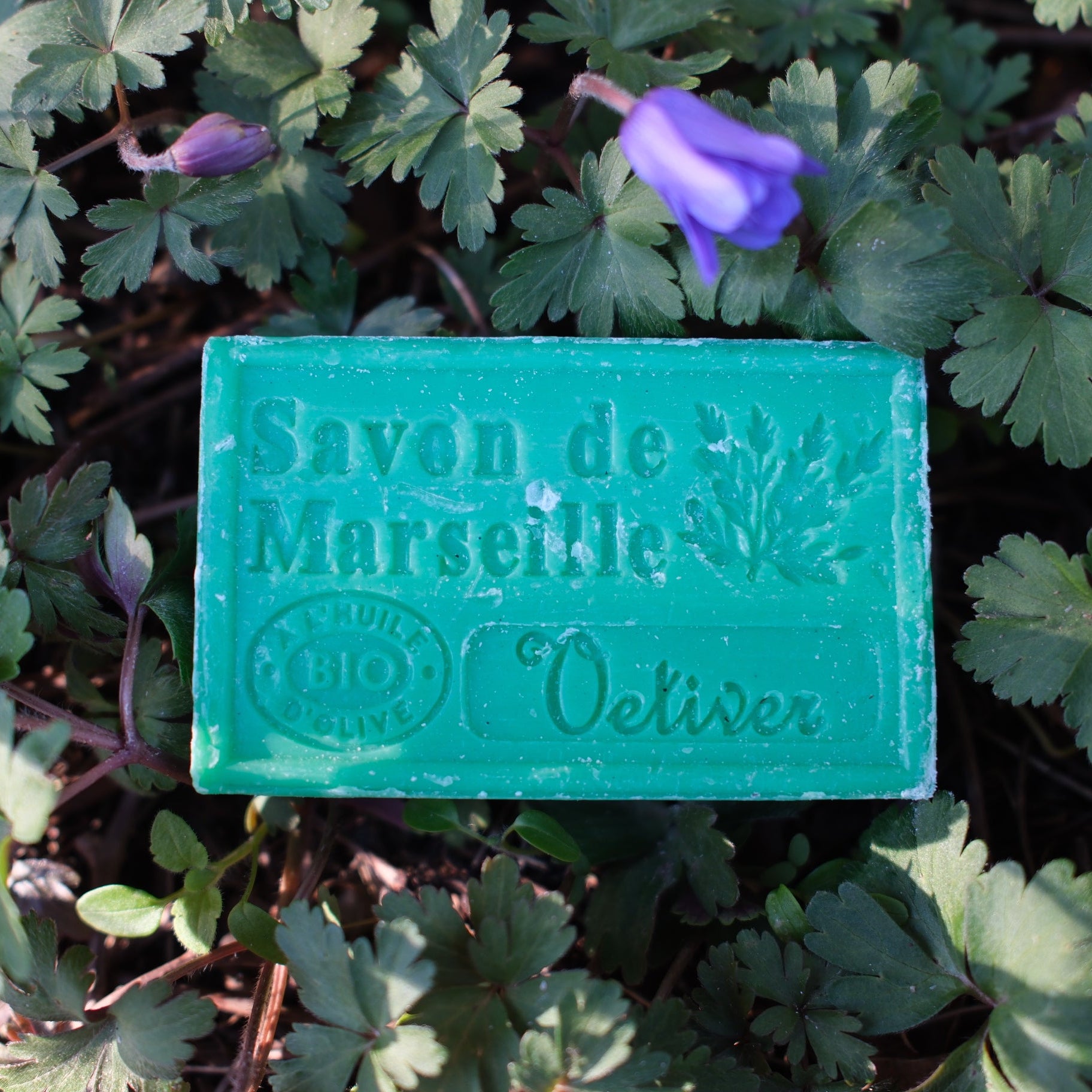 Marseille Tvål Vetvier