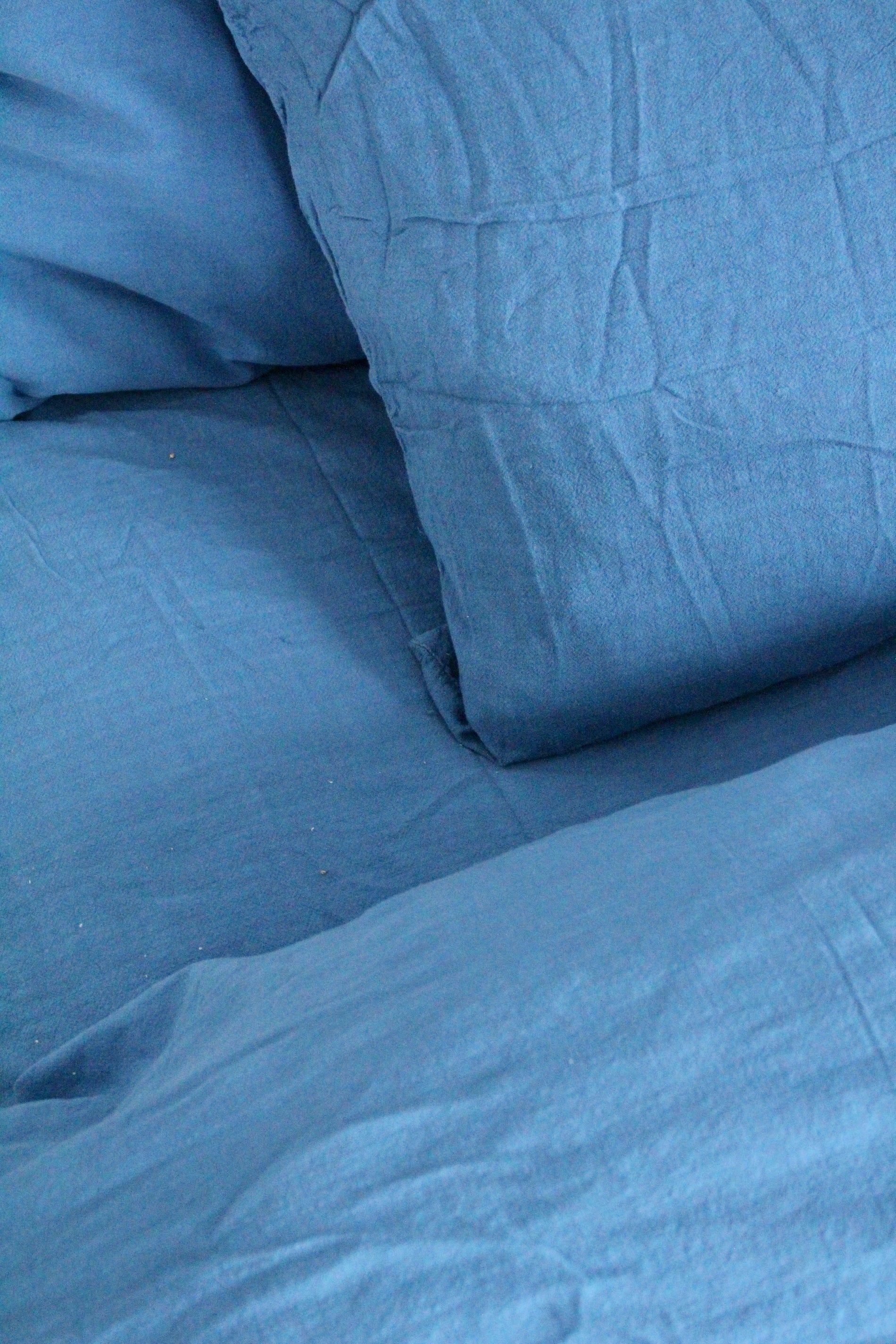 Lakan Gemini - Logwood tree (240x260)